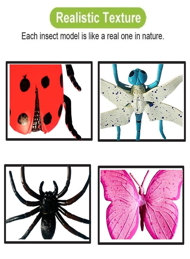 Plutofit Insect and Bug Toys Set, 6 Pieces Plastic Animal Figures, Educational Pretend Play, Multicolour - Image 4